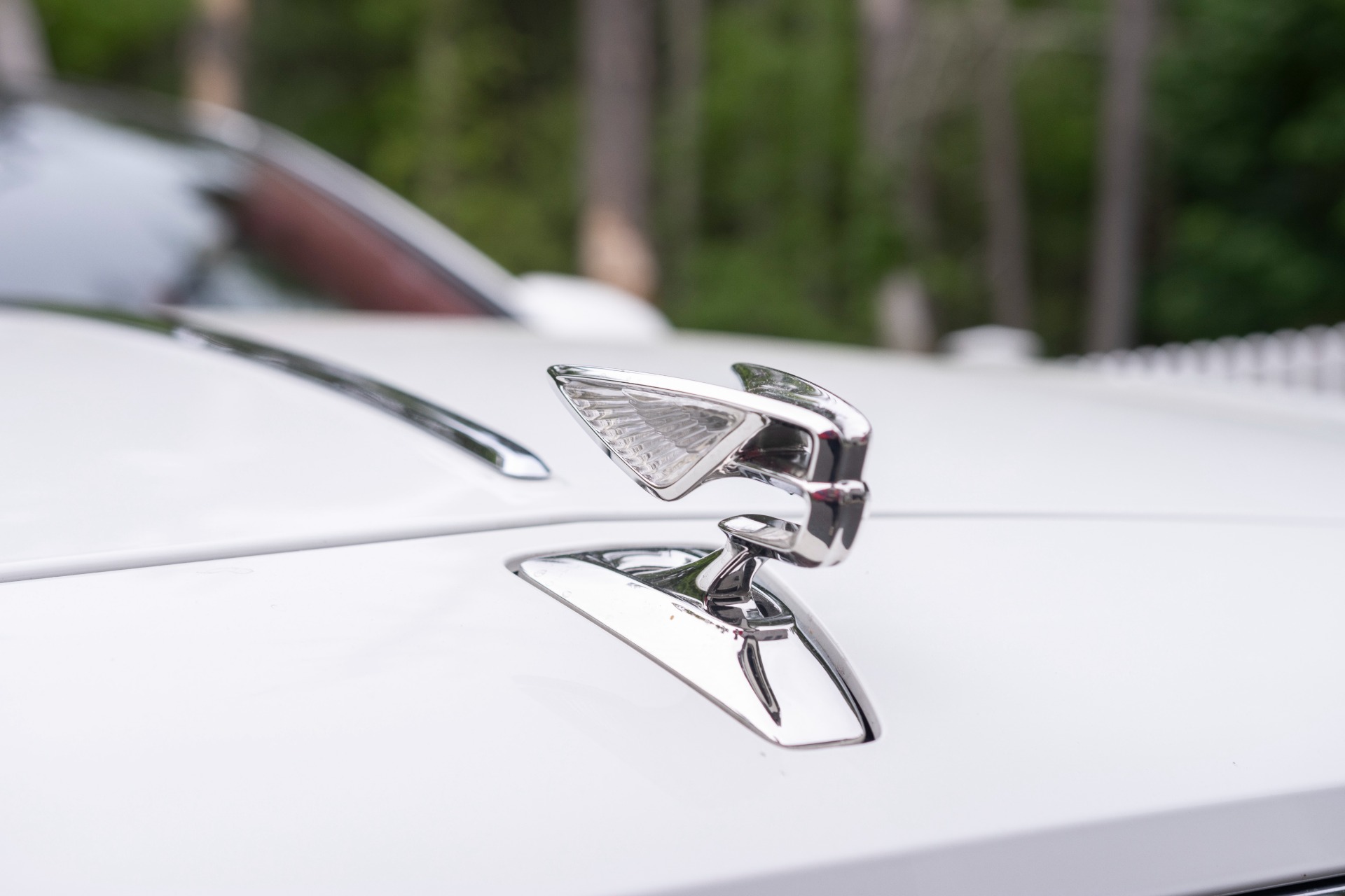 2024 Bentley Flying Spur Mulliner - Photo 13